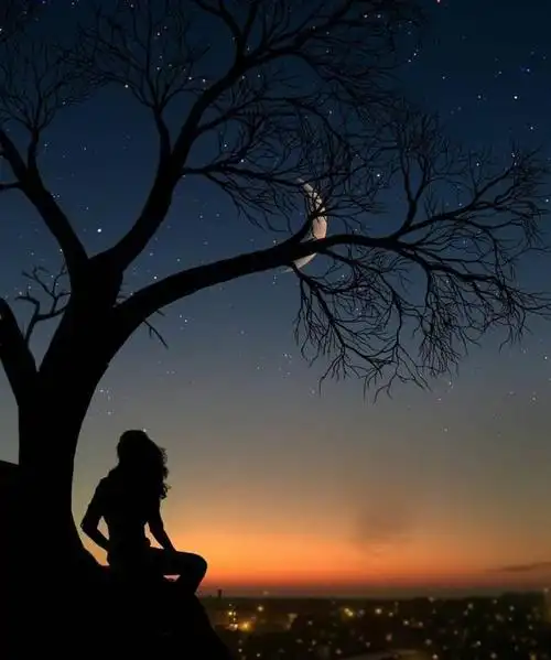 适合凌晨睡不着发的说说,每句都让人有所触动,深夜总是格外伤感