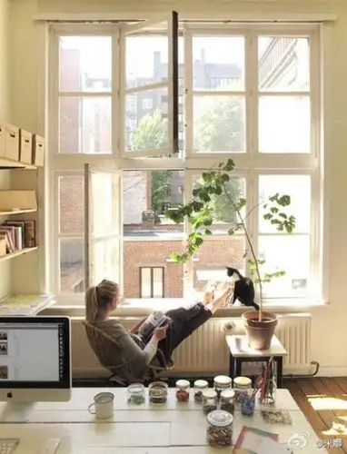 一间屋子,一只猫,一点阳光……一个人的惬意生活