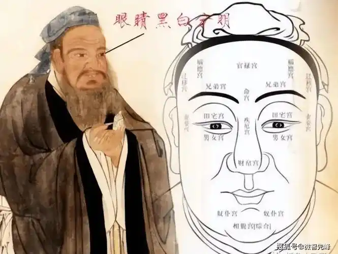 这些特征包括驿马骨,将军骨,日月角骨,伏犀骨,龙角骨和巨鲨骨等七个