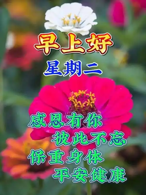 3月7日周二早上好新版精选祝福语问候语录唯美图片带字带问候语_朋友