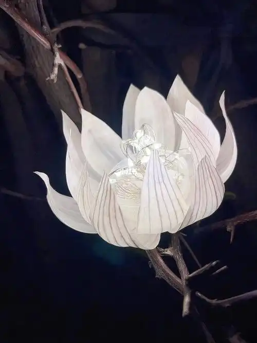 发光莲花看的出来是用什么材料做的吗