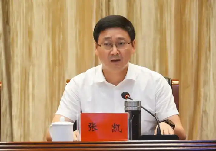 张凯要求,各级各部门要吃透会议精神抓落实.