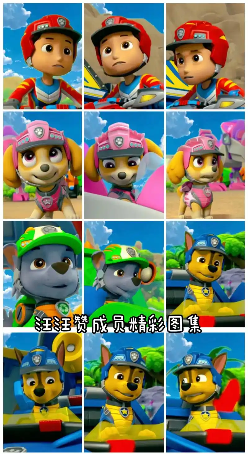 汪汪队立大功 #儿童动画 #动画片 - 抖音