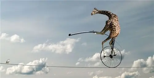创意摄影师作品:飞上天的牛,玩杂技的鹿