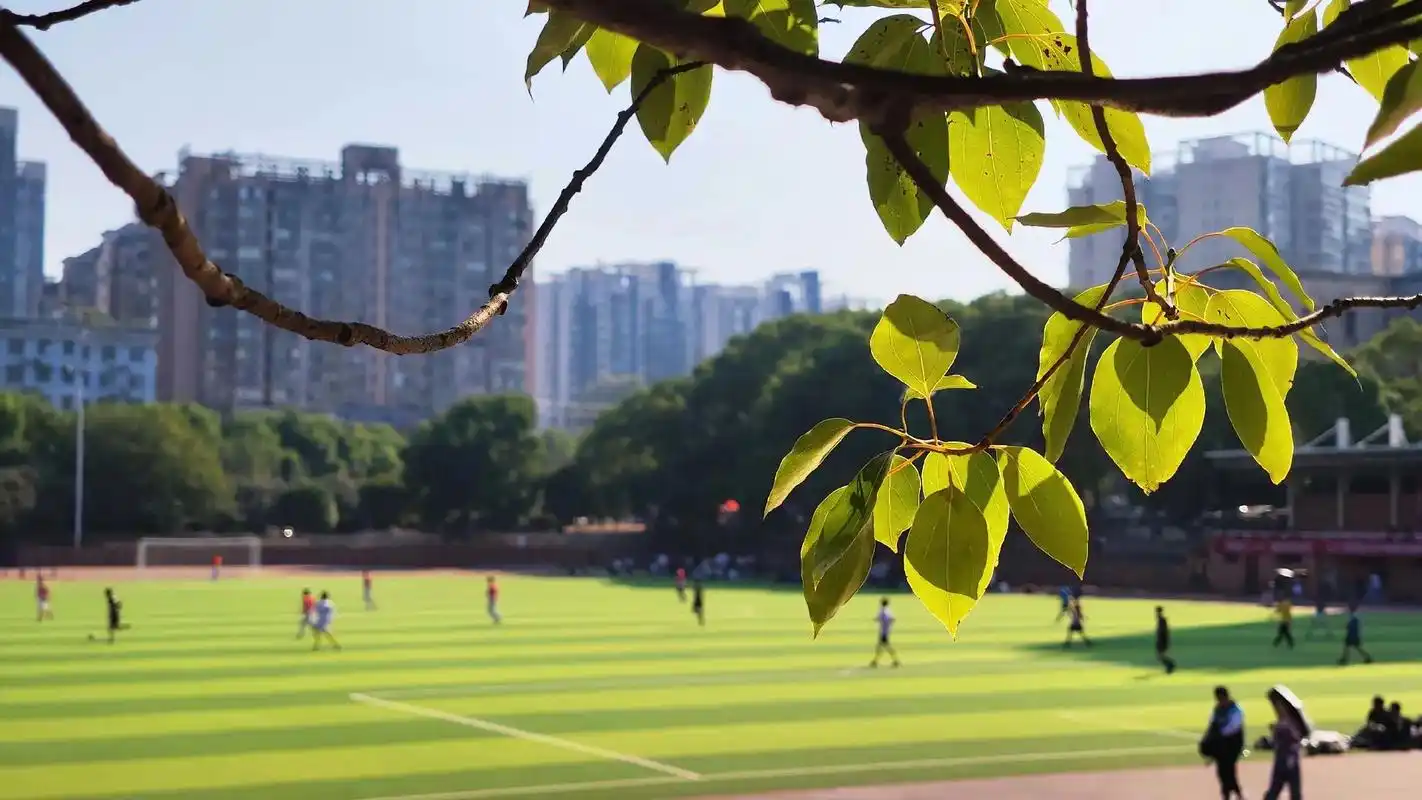 大学生活碎片.一些日常的杂图～#日常 #大学生活 #杂图 # - 抖音