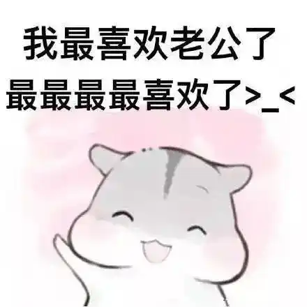 卖萌仓鼠老公表情包