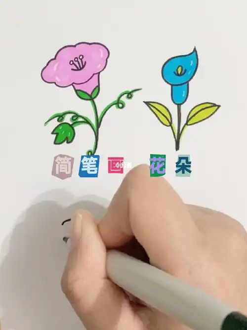 简笔画花朵快来一起画画吧