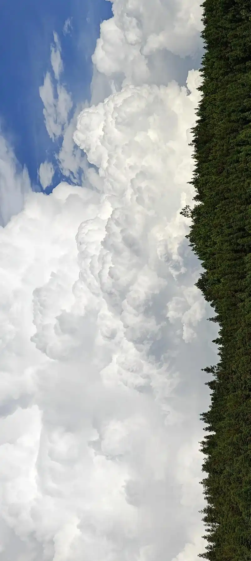 云端筑梦师.#蓝天白云晴空万里 #云的心事只有风知道 #随手 - 抖音