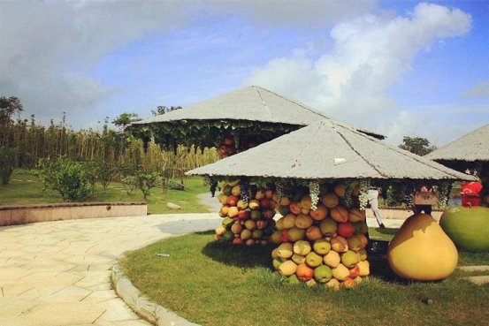 传统果园效益越来越差,不如转型成采摘农场