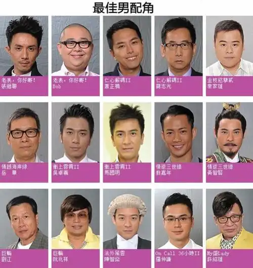 万千星辉颁奖典礼2010的提名名单