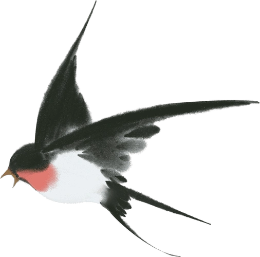 暖和的 燕子素材