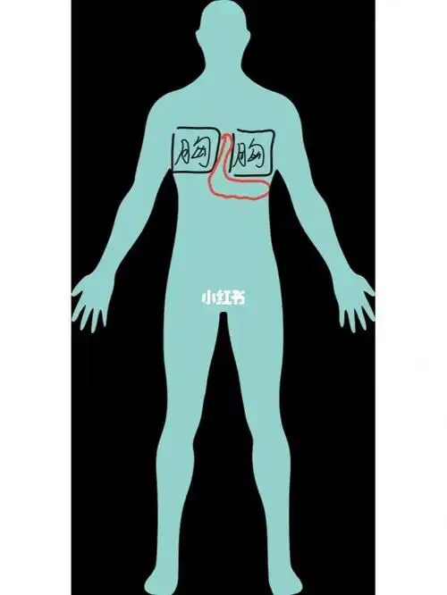 胸部俩肋骨之间和左胸下面突然抽筋的那种疼,然后用力吸气也很疼01