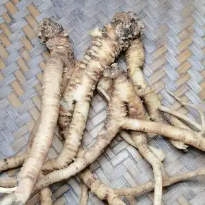 贵州黎平深山密林采挖,野生党参天然狮头党参500g      包邮