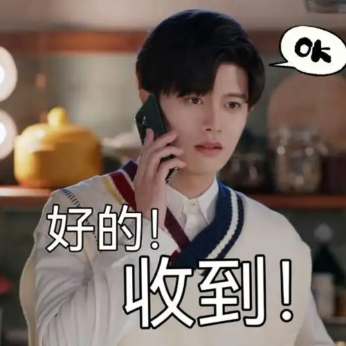 任嘉伦祁连山打工人表情包