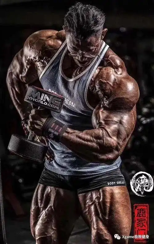 健美|健身|肌肉_网易订阅