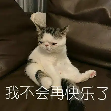 萌宠喵星人我不会再快乐了难受呆萌可爱gif动图_动态图_表情包下载