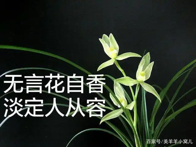 人生要淡定生活要从容