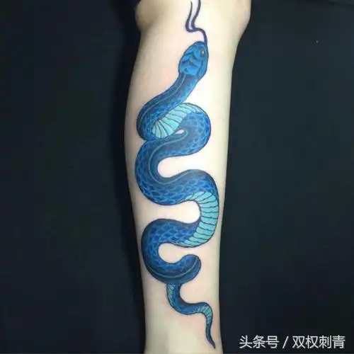 生肖蛇的人适合纹什么纹身_达一风水网