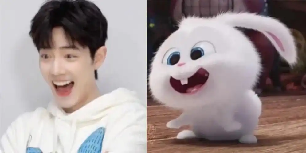 肖兔子果然名不虚传这适配度简直满分