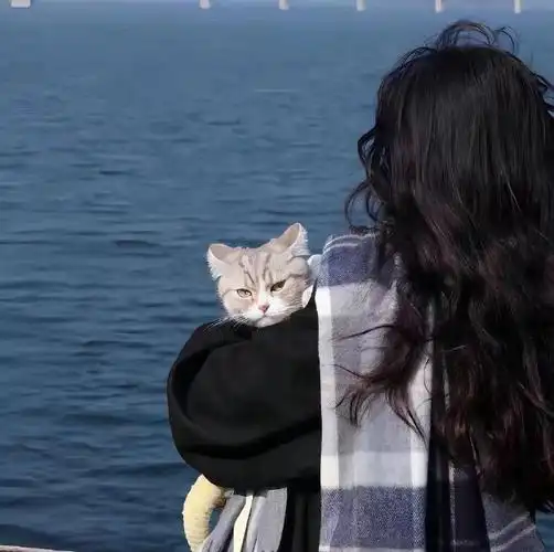 一期不明显情侣头像