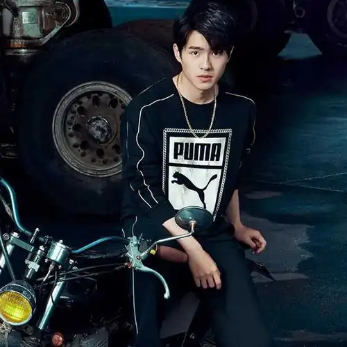 彪马puma 刘昊然同款 棉质印logo 男款长袖卫衣