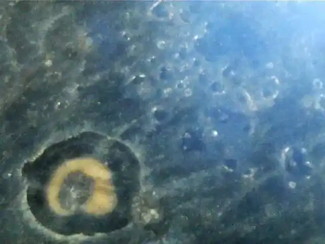 元青花瓷器釉面有变形气泡,是烧制形成还是衰变导致?