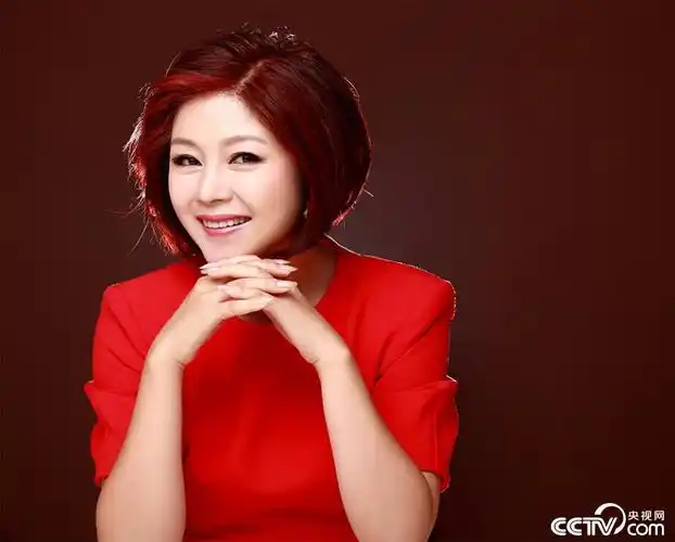 中央电视台社会与法频道主持人沙玛阿果高清图集_cctv专区