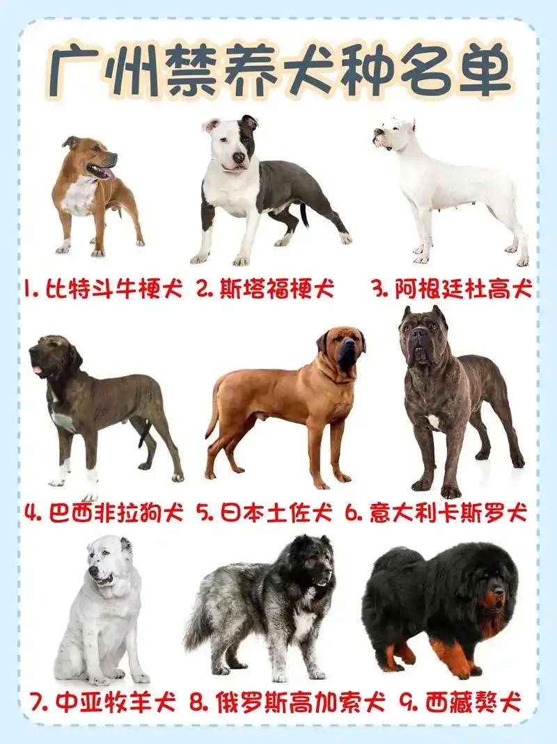 你养的狗狗属于禁养范围吗,快来认一认吧.#图文伙伴计划#养狗 - 抖音