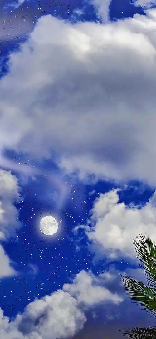 唯美夜色风景图片高清手机壁纸-风景壁纸 - 壁纸之家