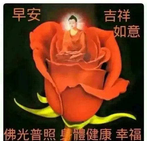 超级漂亮早上好问候祝福语短信,特别漂亮的冬季早安祝福语图片