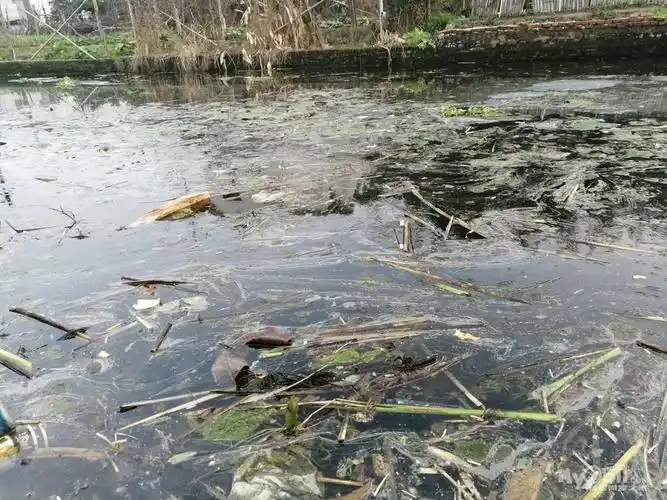 高桥一支河脏乱差,谁人管谁人问