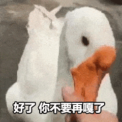 抓鸭子表情包