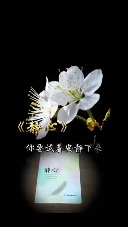 保持一份心灵的宁静,回到自己的内心深处,细细品味生命的微妙.