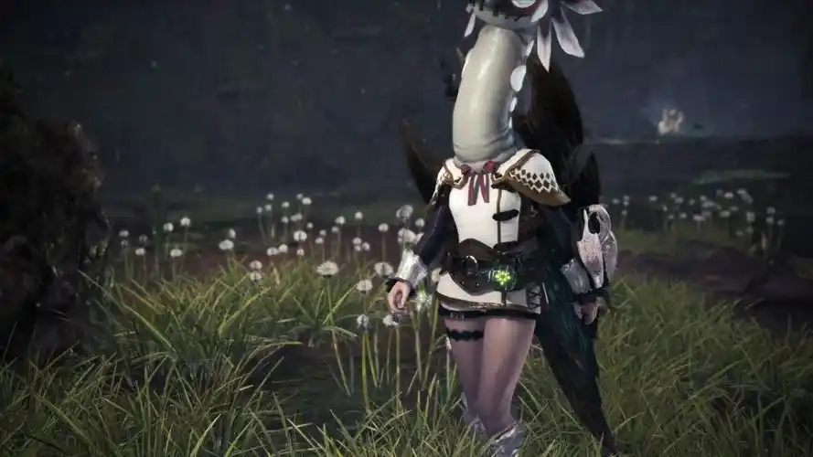 《怪物猎人世界:冰原》盾斧开荒——黑狼鸟_哔哩哔哩 (゜-゜)つロ