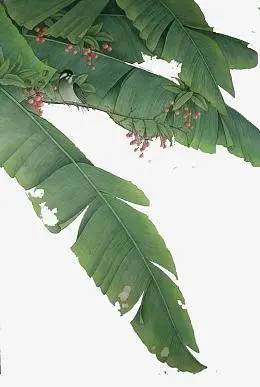 工笔画素材_工笔画png图片下载_觅元素