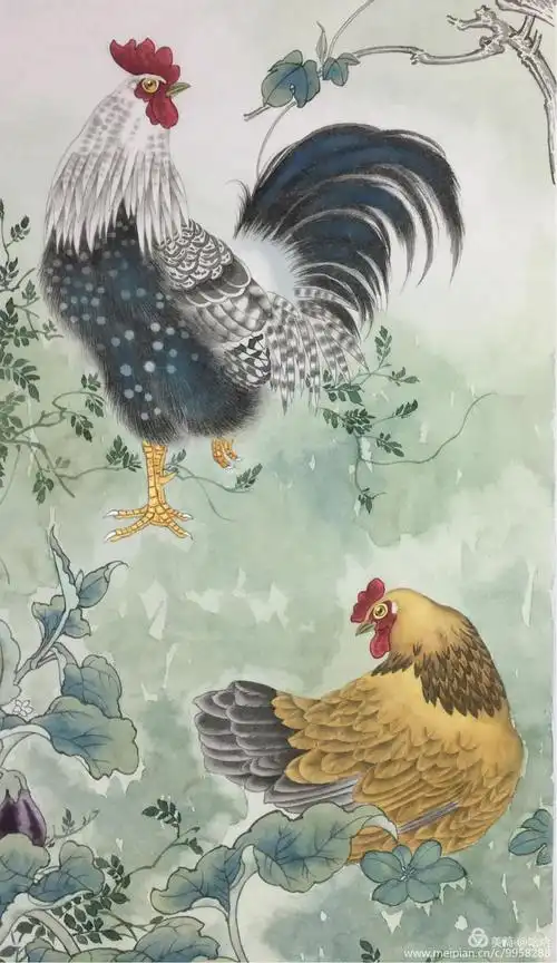 陈军老师工笔画鸡步骤图