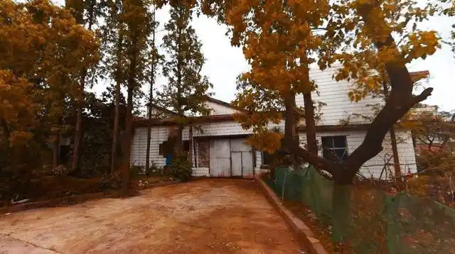 在武汉新洲这座家居城随拍90年代风街景,老建筑写满光阴的故事