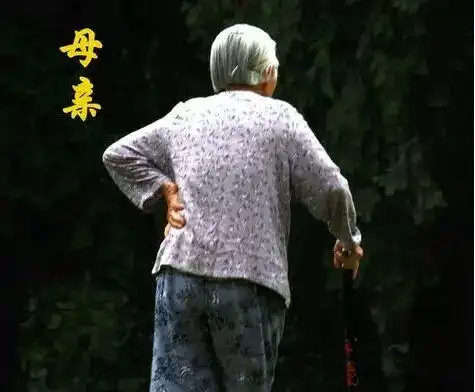 母亲的背影竟是如此的熟悉,她让我们挺直了腰板儿,她却累坏了腰身.