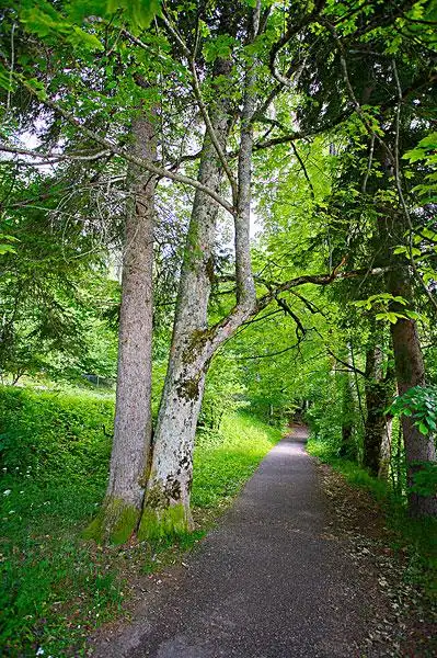 自然环境图片_图片大全