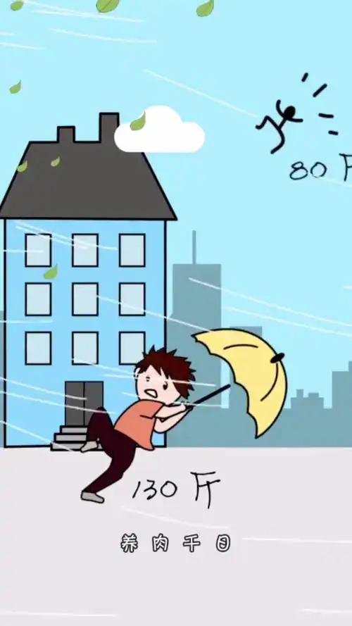 胖一点也不错,台风不会吹走