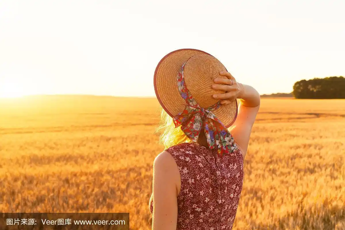 女孩的背影在黄色的田野在日落