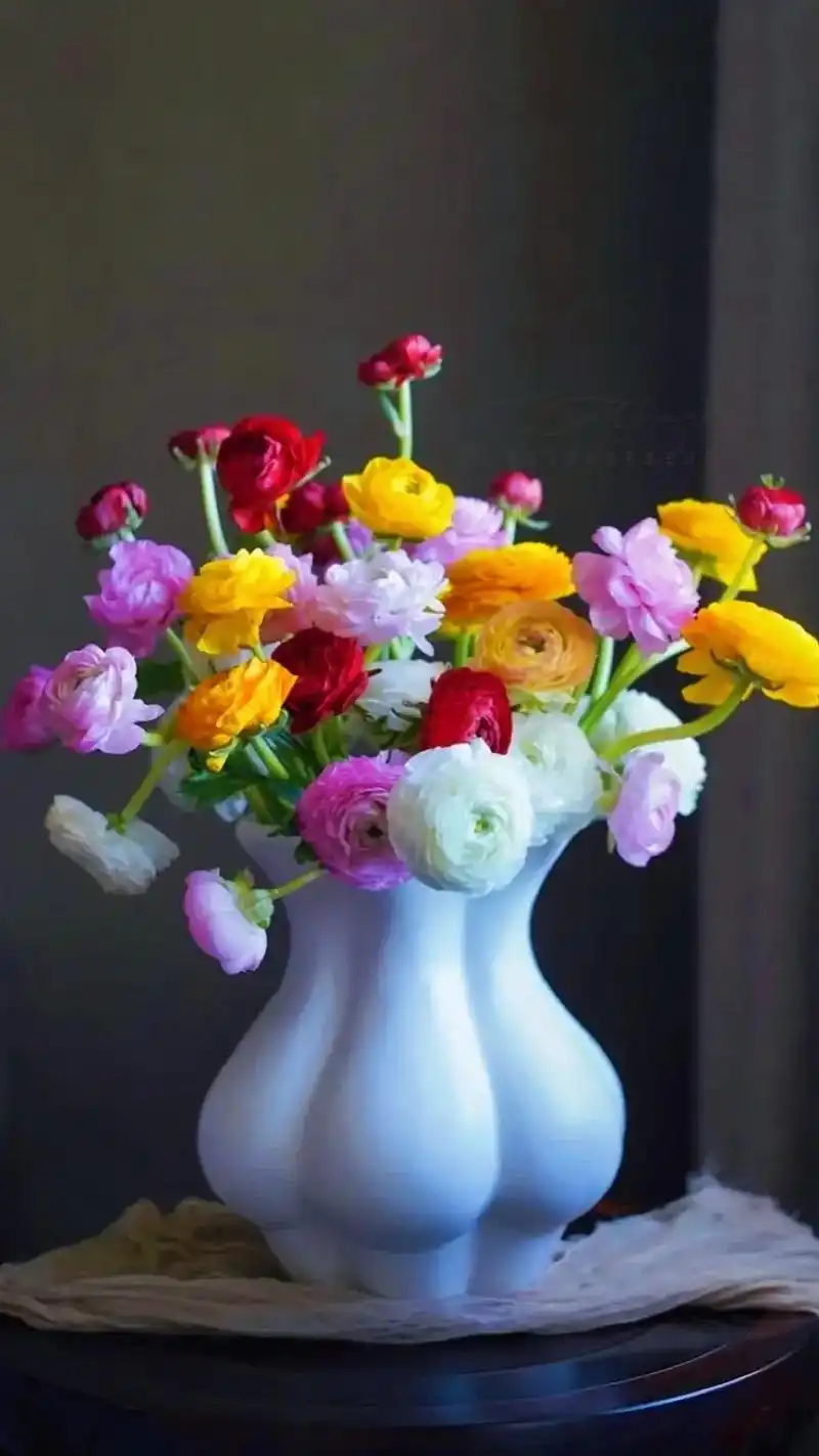 用镜头记录唯美美景 用心灵感悟诗意人生 #抖音图片 #舒心壁 - 抖音