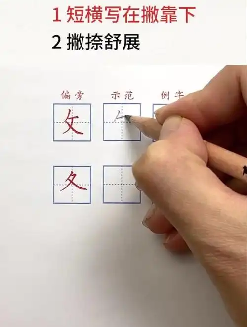 第4课反文旁折文旁放的笔顺写对了吗