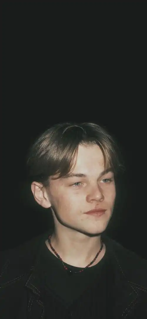 莱昂纳多迪卡普里奥 小李子 - 堆糖,美图壁纸兴趣社区