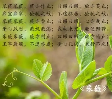 其实《卷耳》也有这样的写法_诗经