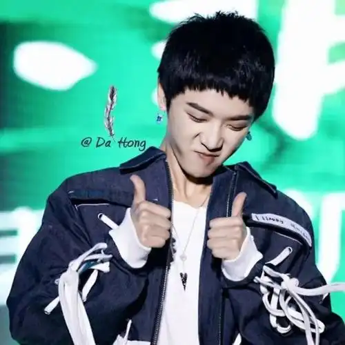 华晨宇-花花头像