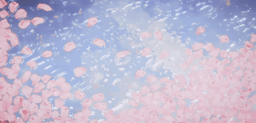 少女心 动图 可爱 樱花 风景 勿二传,二传必究