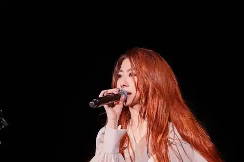 陈绮贞召开出道20周年全新巡回「漫漫长夜」重磅重返北京明日预售