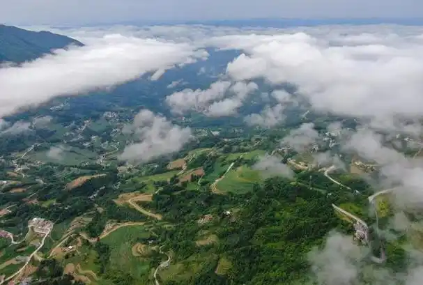 图为陕西汉阴凤堰古梯田(6月22日摄,无人机照片).新华社记者蔡湘鑫 摄