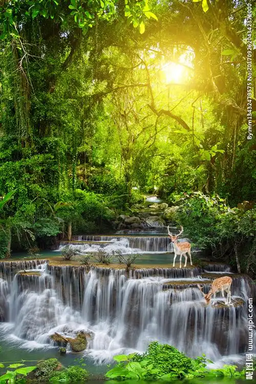 3d山水瀑布生财有路风景画森林图片